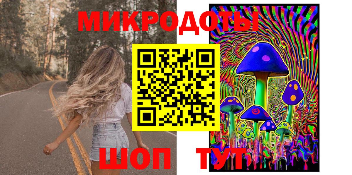 Псилоцибиновые грибы Psilocybine cubensis Кимры