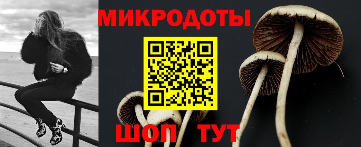 Кимры  Галлюциногенные грибы Magic Shrooms  Вход с VPN  Галлюциногенные грибы GOLDEN TEACHER 